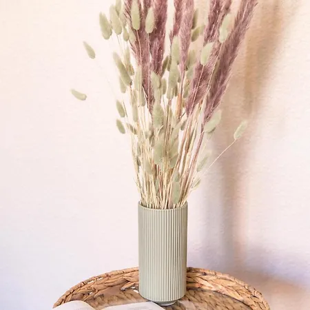 Appartement L'escale - Proche Homme De Fer *